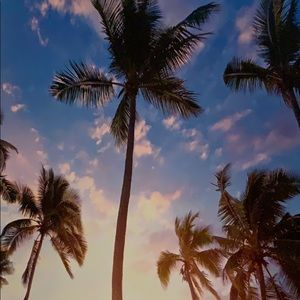 Meet your Posher, Delaney